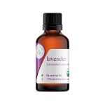 Essential Oil Filling Machine Machine de remplissage d'huile essentielle