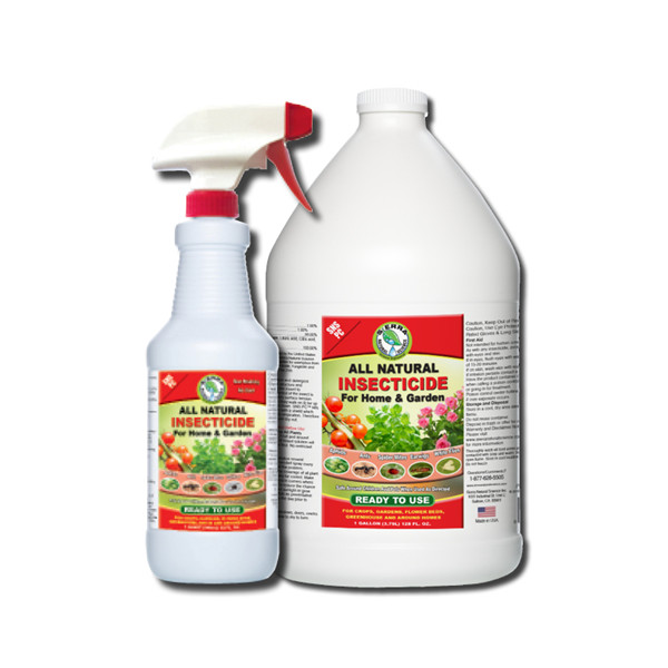 machine de remplissage d'insecticide (6)